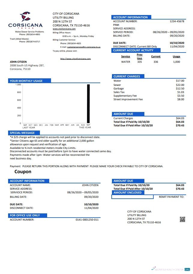download download USA Texas City of Corsicana utility bill template in Word and PDF format PDF template PDF template